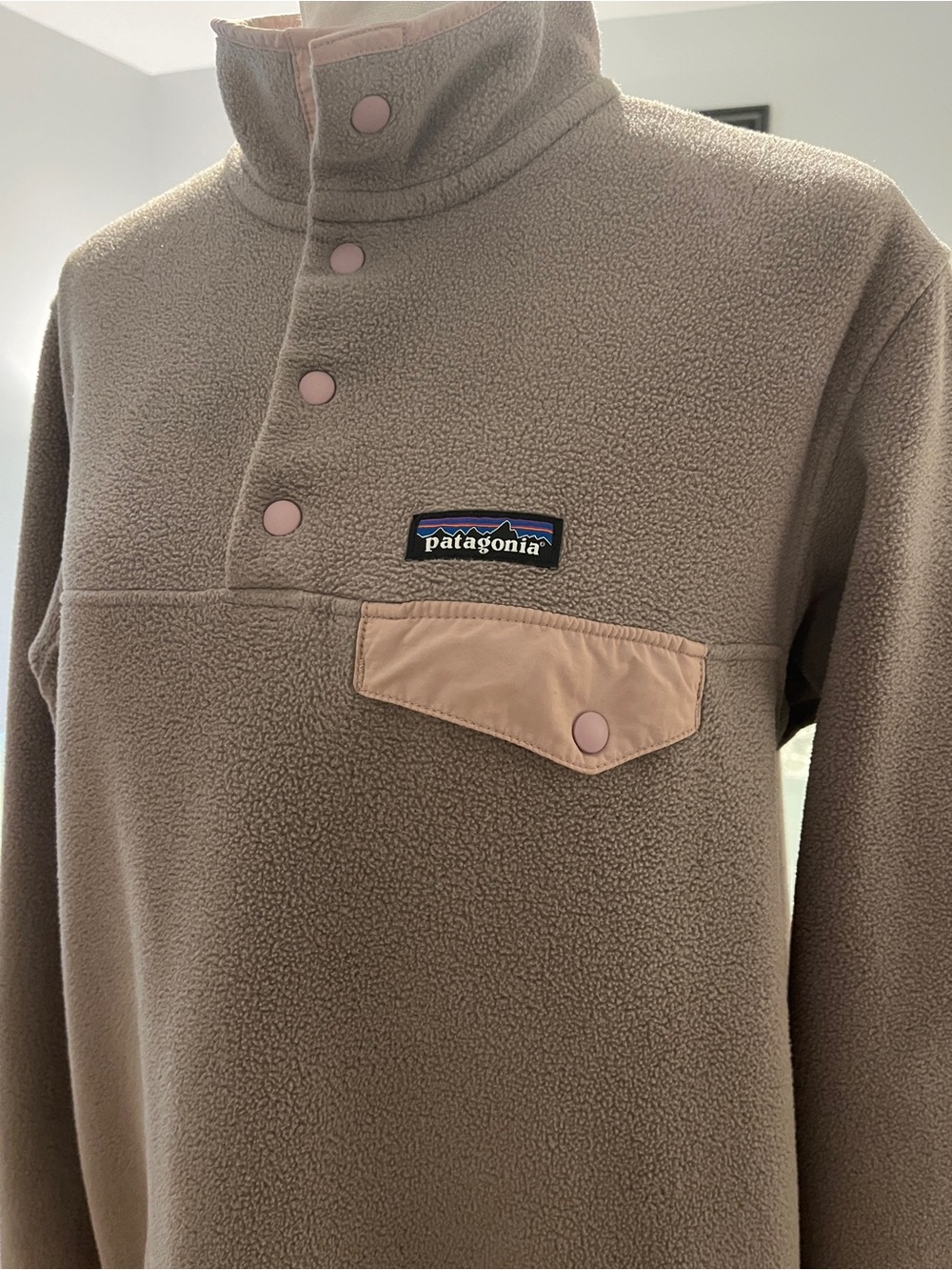 Patagonia Fleece Pullover
